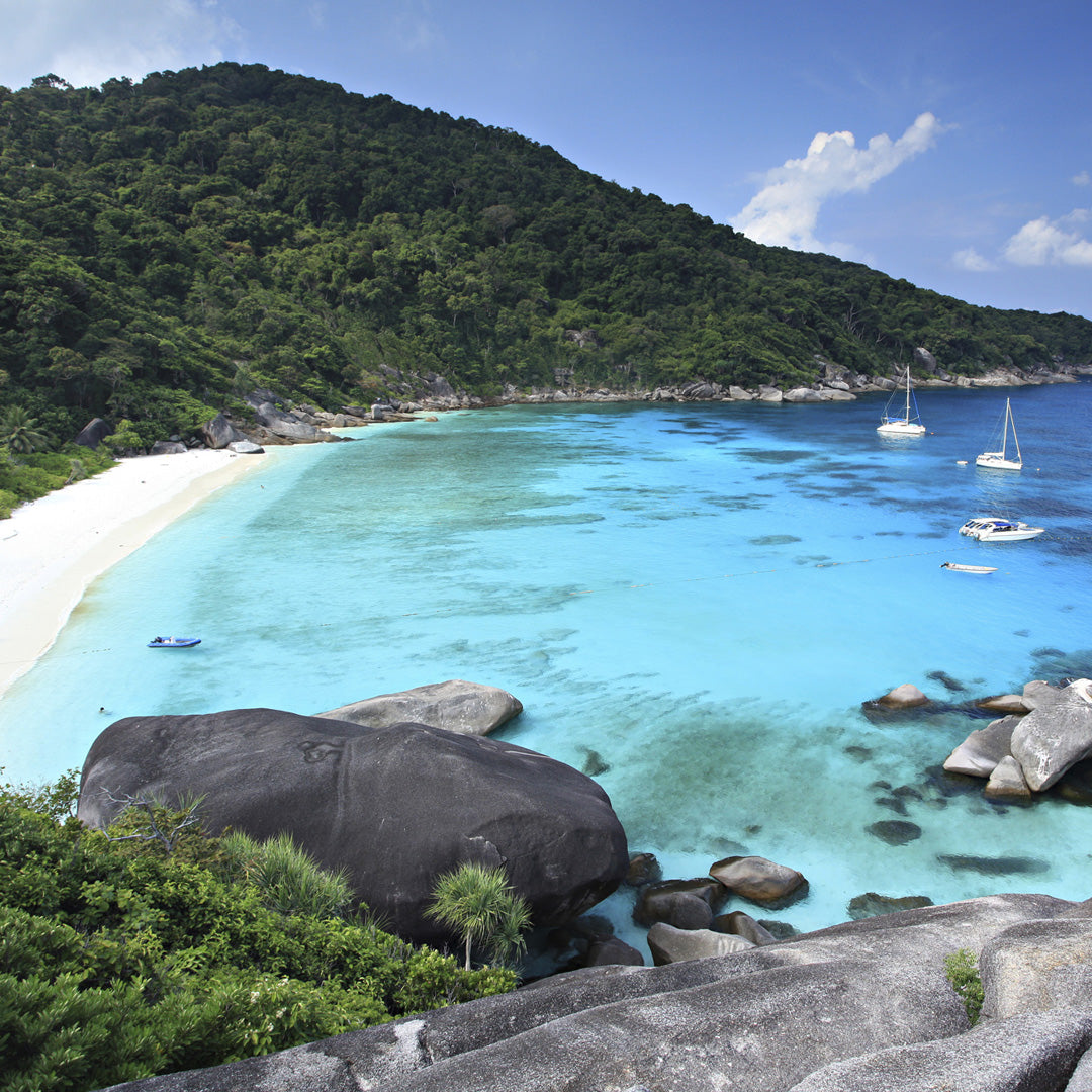 LIVEABOARD 5 days / 4 nights - Similan, Koh Bon, Tachai, Surin & Richelieu Rock - M/v Andaman Queen